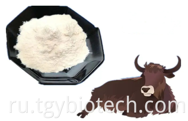 Hydrolyzed Bovine Collagen Powder